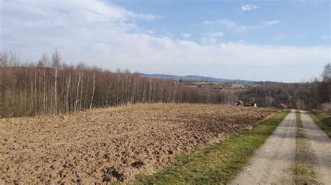 pogoda wysoka strzyżowska|Pogoda w Wysoka Strzyżowska, Województwo podkarpackie